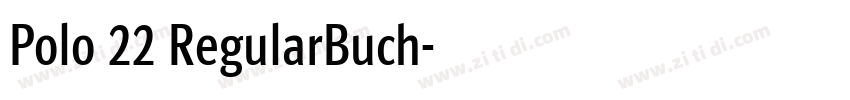 Polo 22 RegularBuch字体转换 Polo 22 RegularBuch字体转换